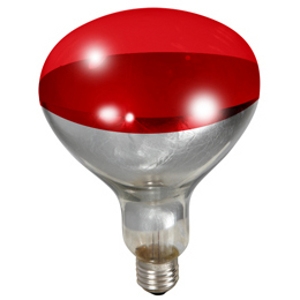 heat lamp bulb photo - 4