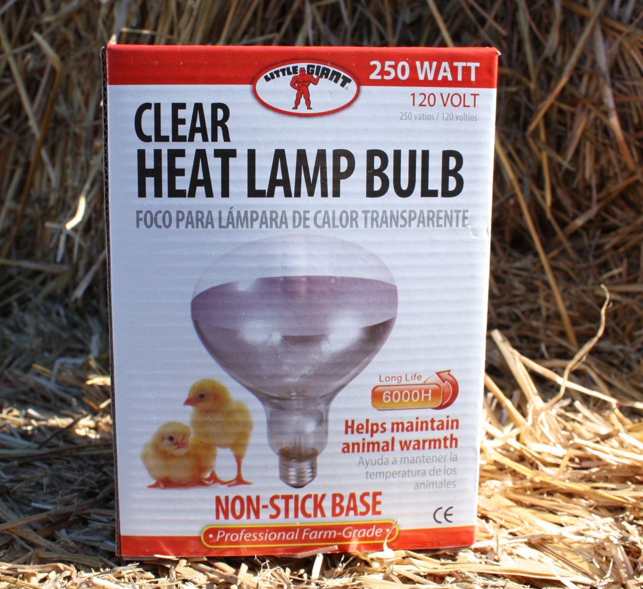 heat lamp bulb photo - 6