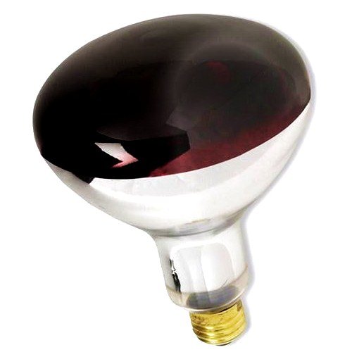 heat lamp light bulb photo - 1