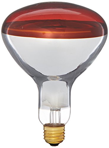 heat lamp light bulb photo - 6
