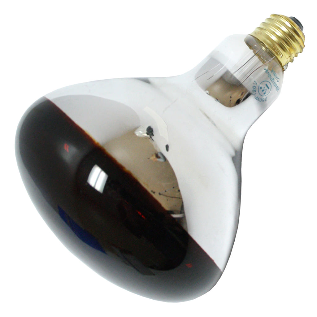 heat lamp light bulb photo - 9