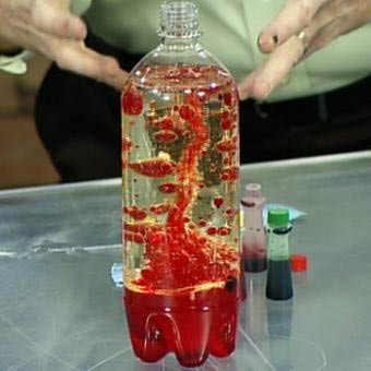 how to make a lava lamp with a water bottle photo - 5