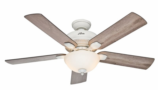 hunter ceiling fan light photo - 10