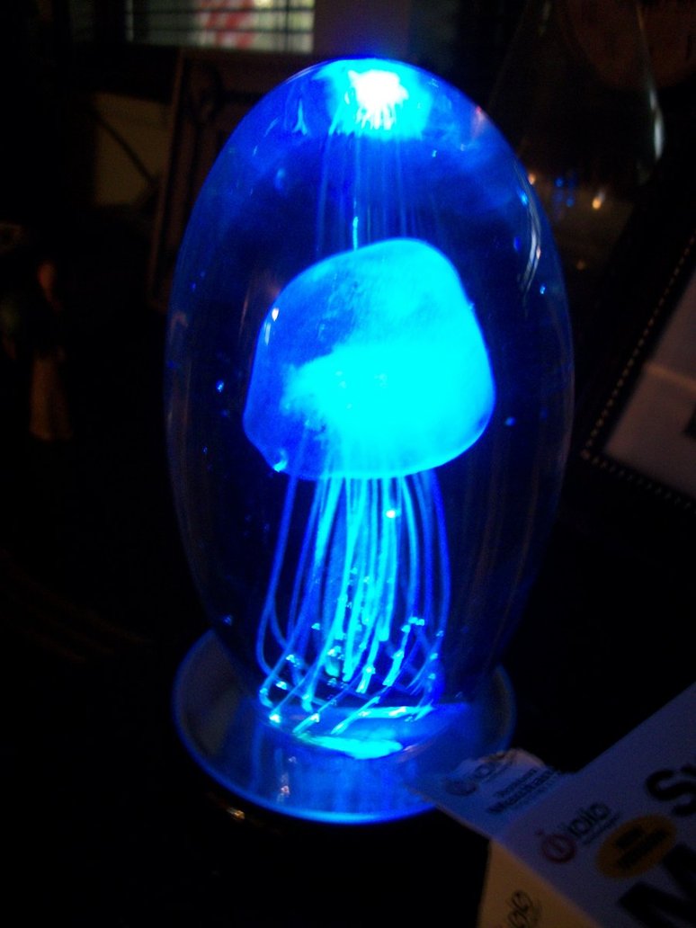 jellyfish lava lamp photo - 6