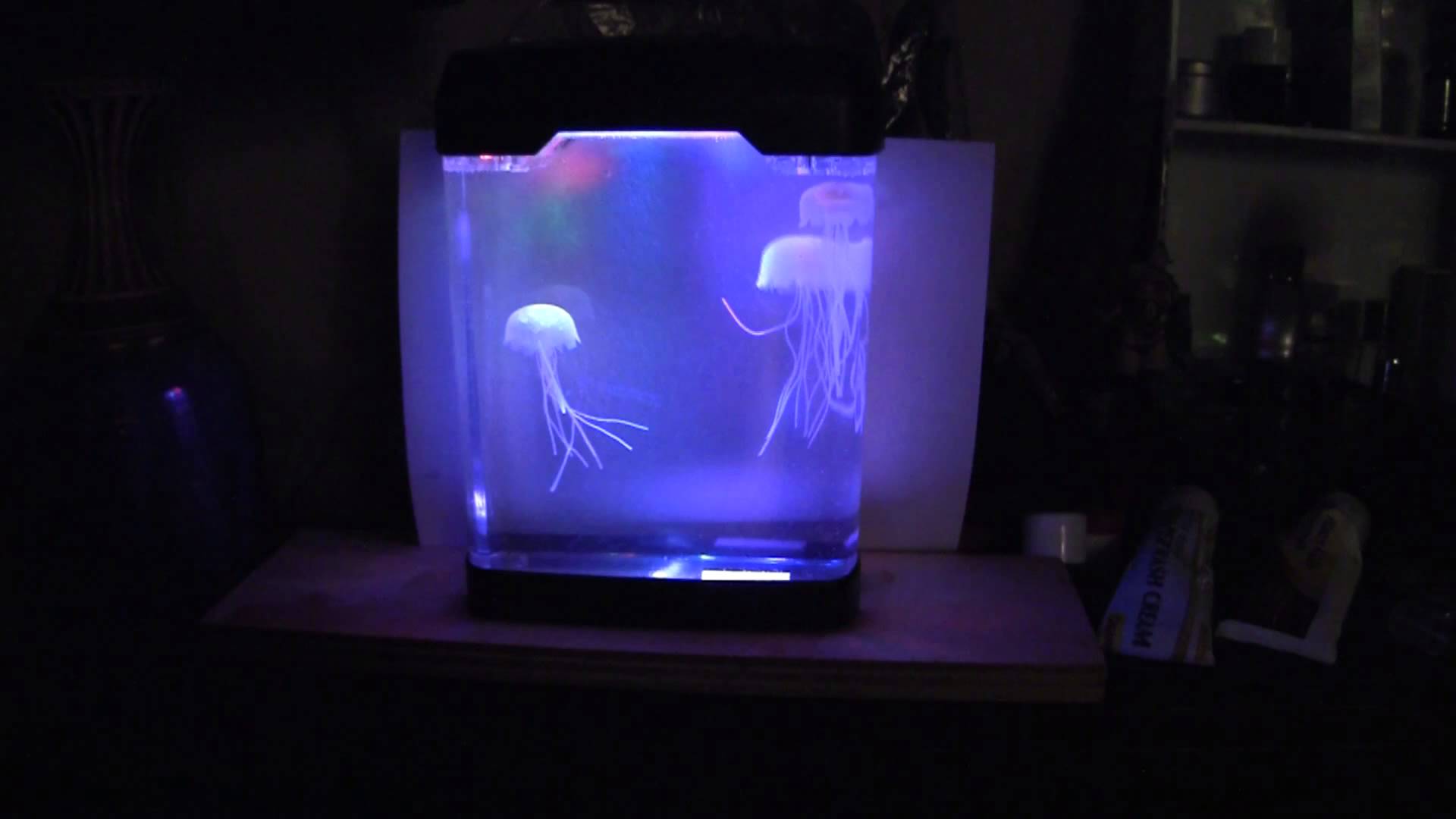 jellyfish lava lamp photo - 9