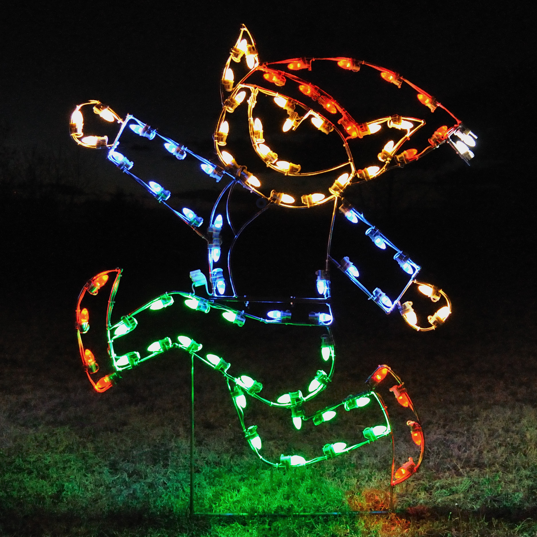 large christmas outdoor lights photo - 4