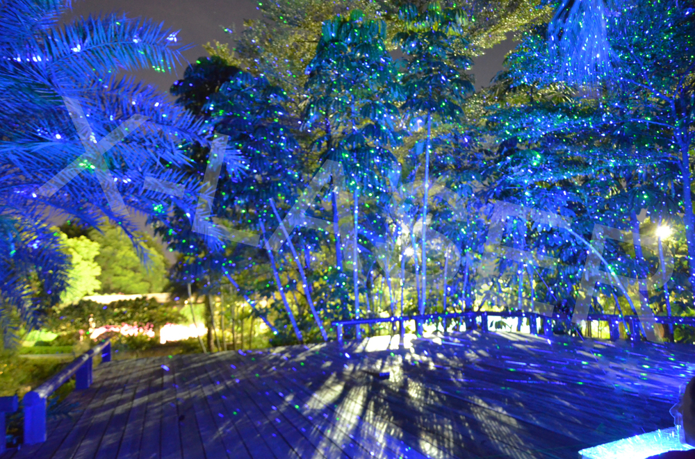 laser outdoor christmas lights photo - 10