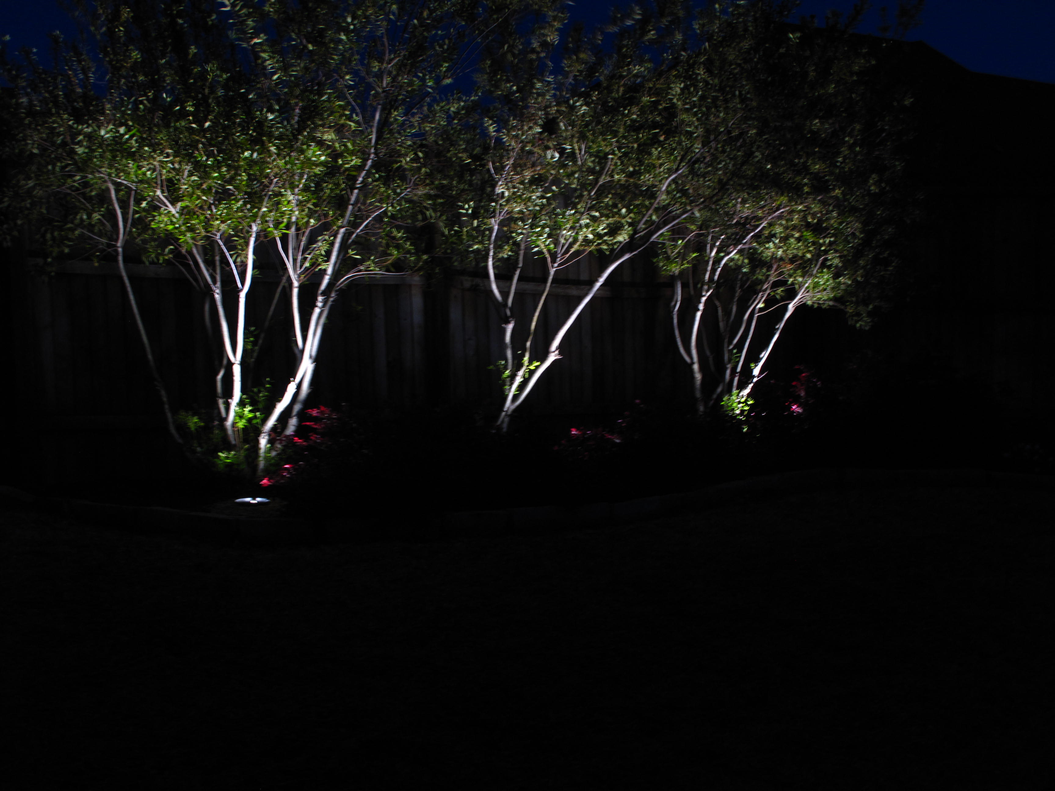 led outdoor tree lights photo - 2