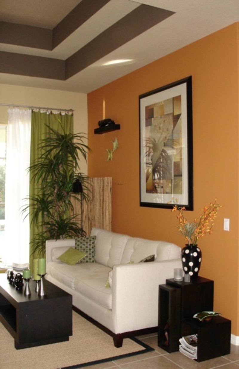 light brown wall paint photo - 6