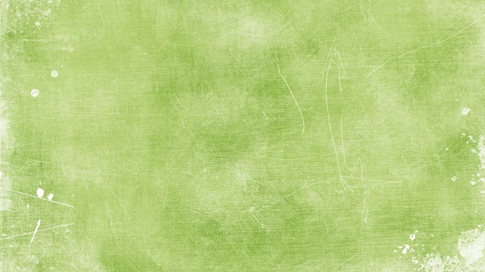 light green wall paper photo - 1