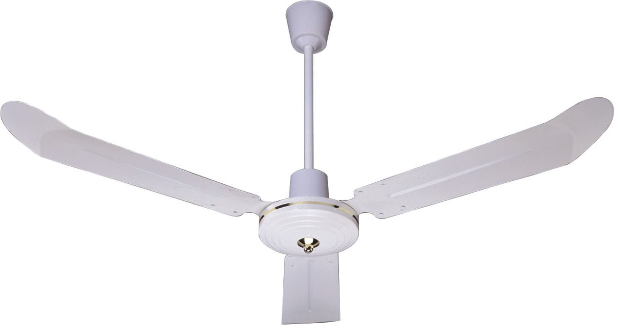 luxury ceiling fans photo - 4