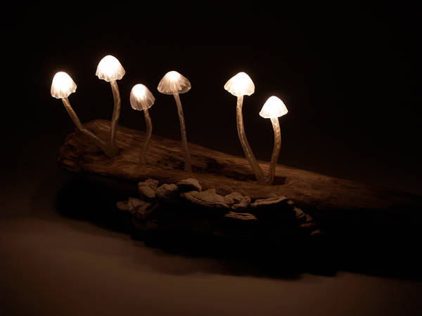 magic mushroom lamp photo - 3