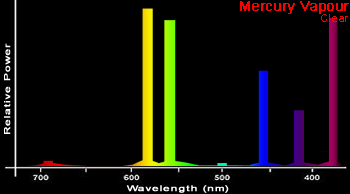 Mercury Vapor Lamp Spectrum