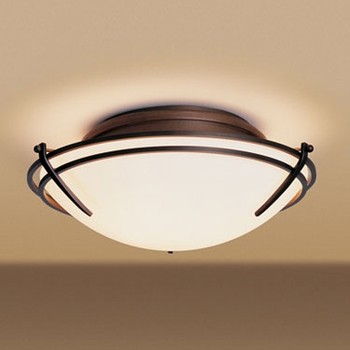 mounted ceiling lights photo - 7