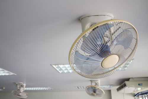 office ceiling fans photo - 10