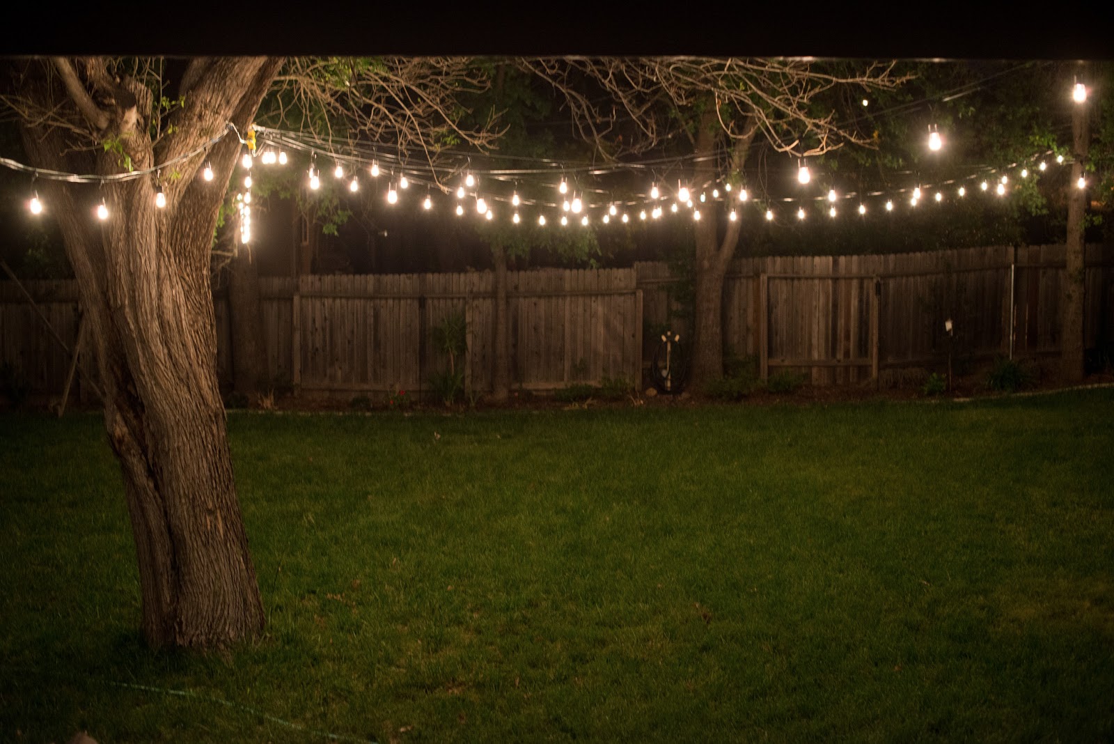 outdoor backyard lighting photo - 5