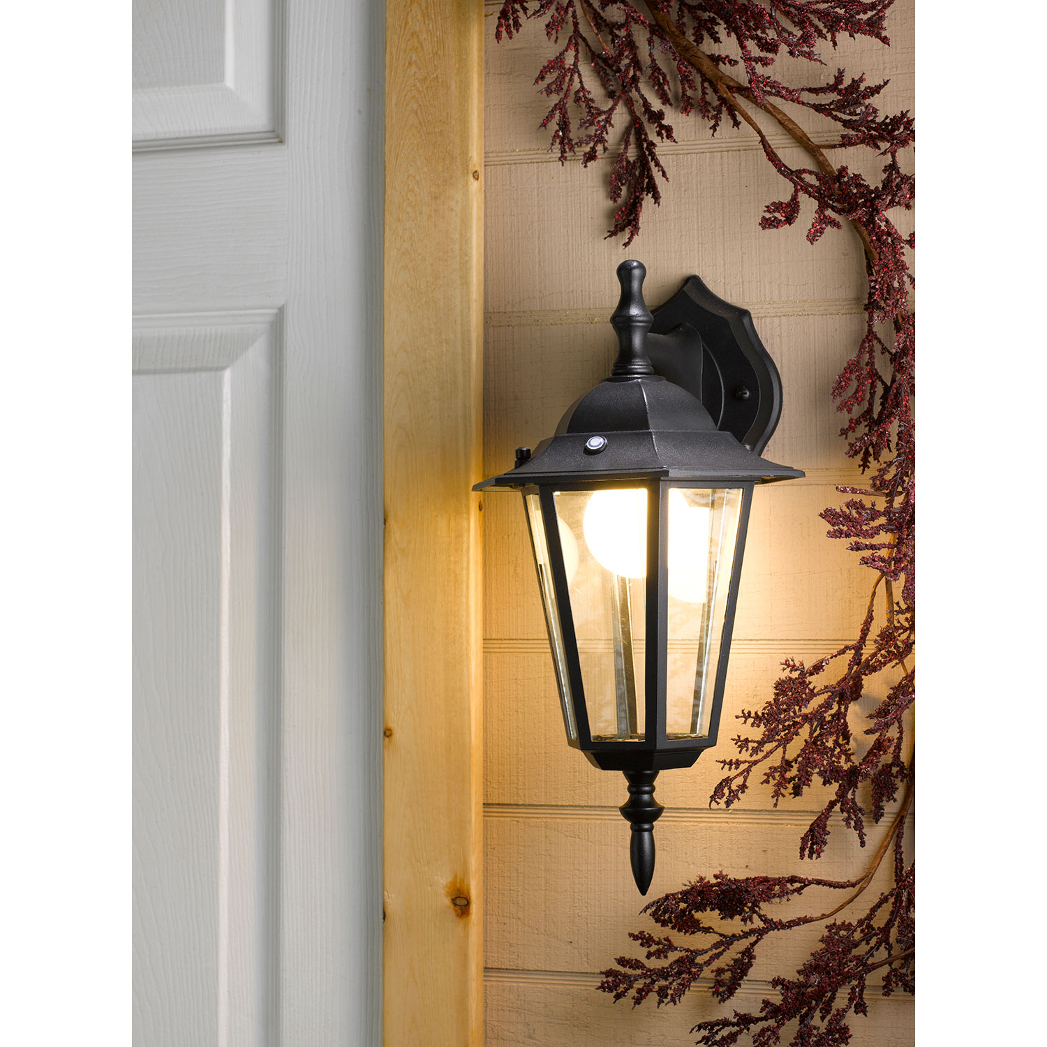 outdoor wall mount light photo - 6