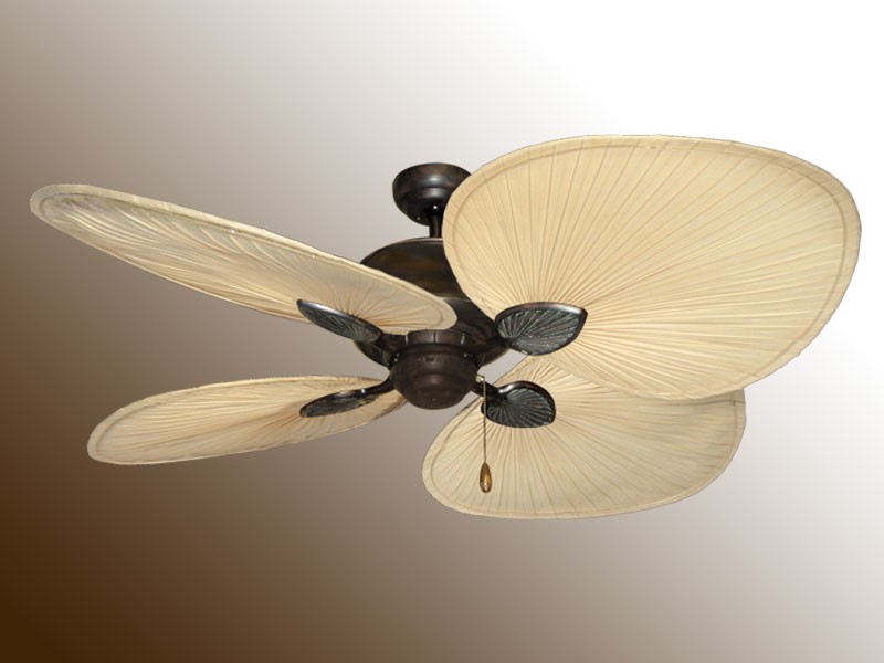 palm frond ceiling fan photo - 2