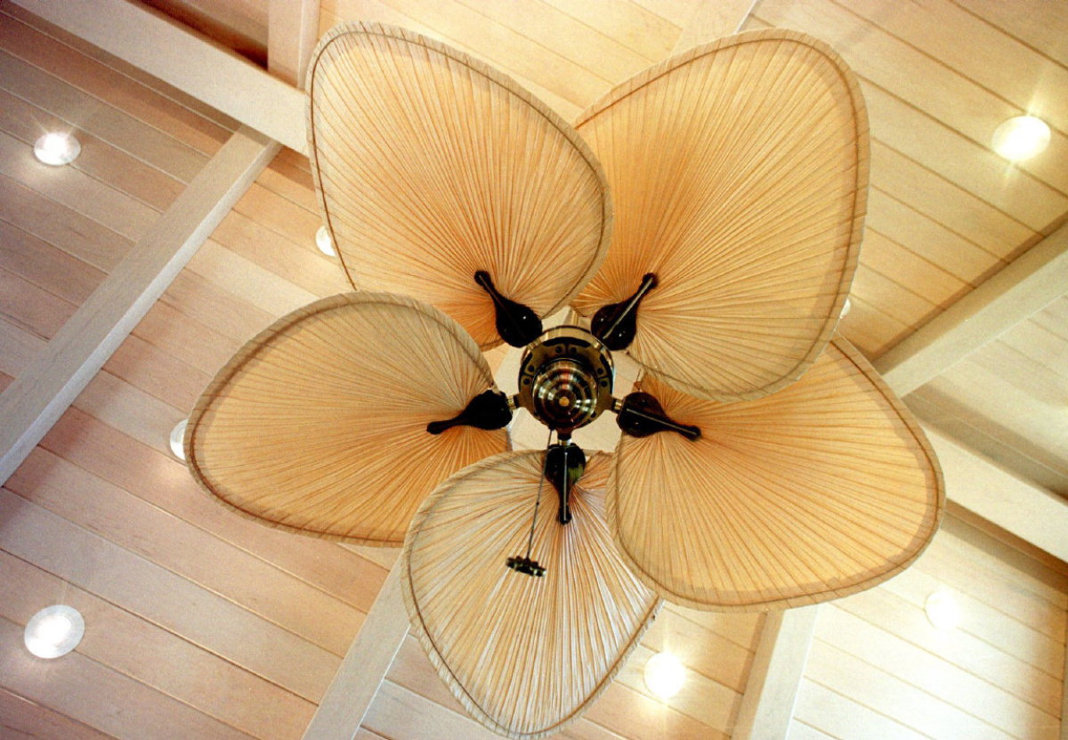 palm frond ceiling fan photo - 6