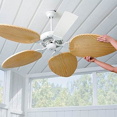 palm frond ceiling fan photo - 8