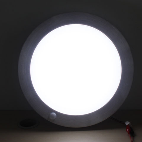 pir ceiling light photo - 4