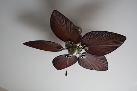 plantation ceiling fans photo - 10