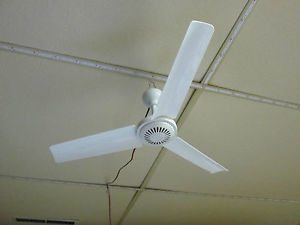 plug in ceiling fans photo - 6