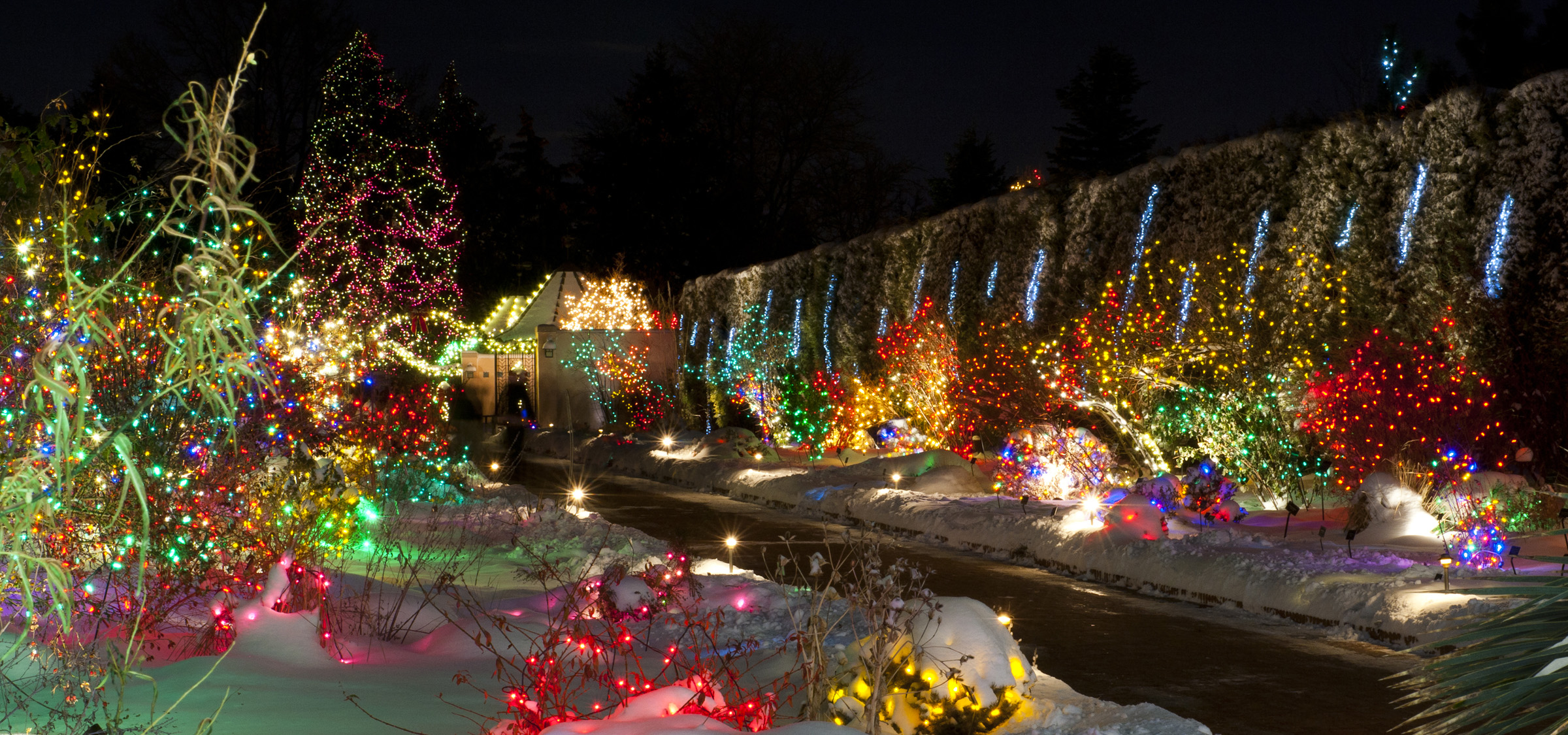 professional outdoor christmas lights photo - 7