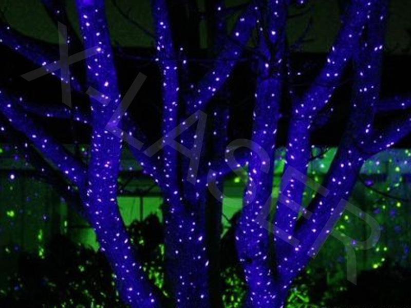 professional outdoor christmas lights photo - 8