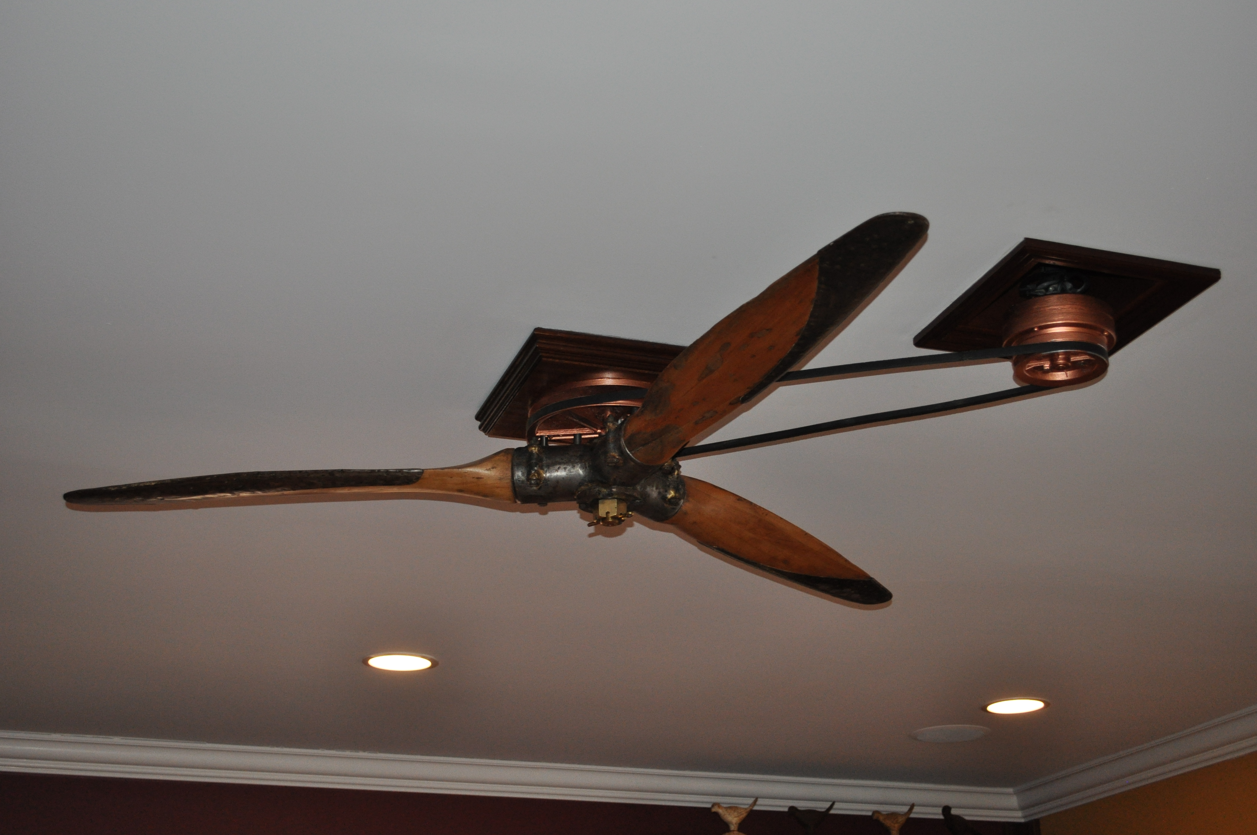 prop ceiling fan photo - 7