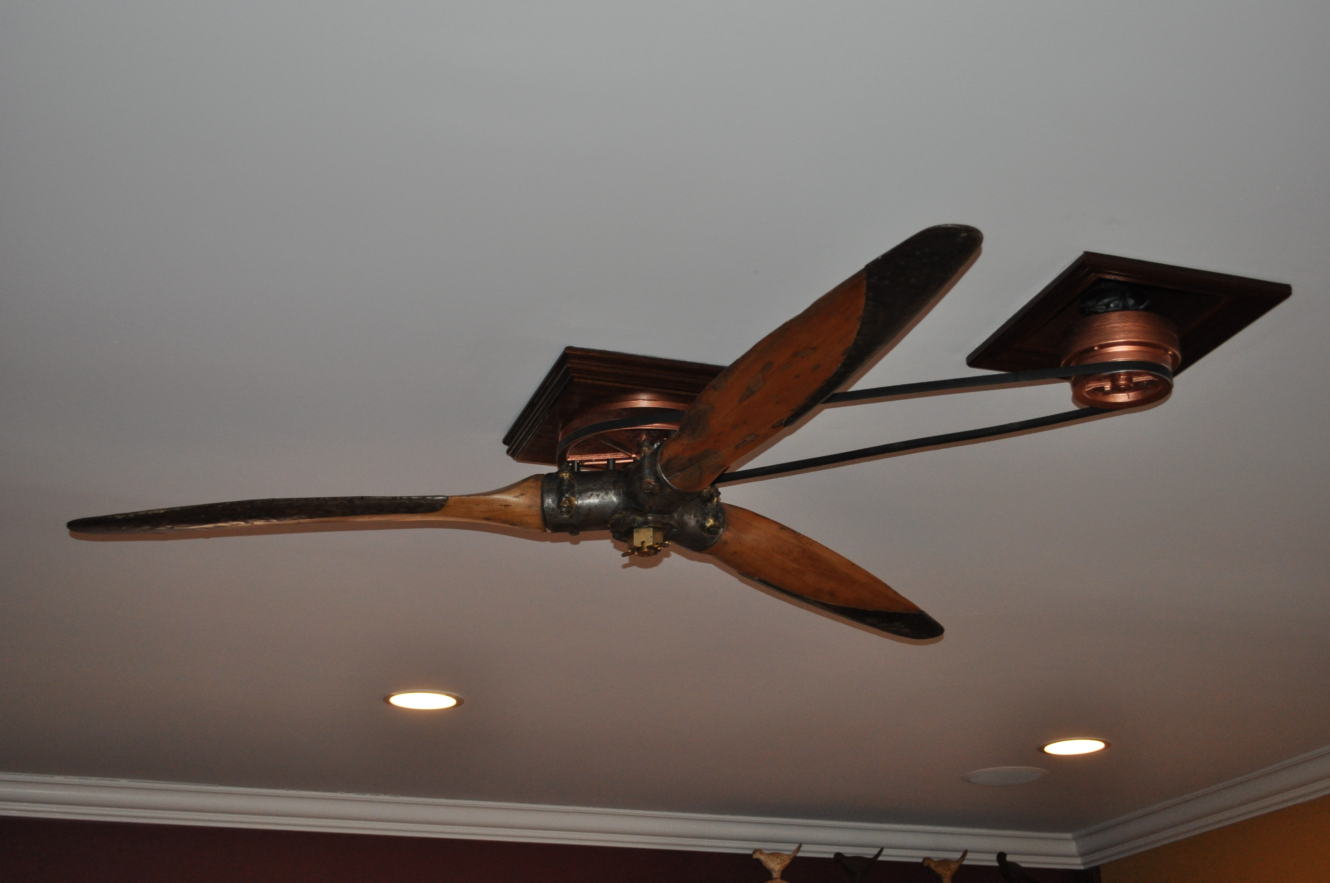 Unique Ceiling Fans With Lights Contemporary Ceiling Fans with Light