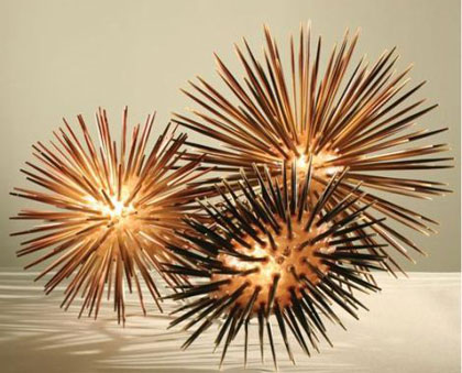 sea urchin lamp photo - 10