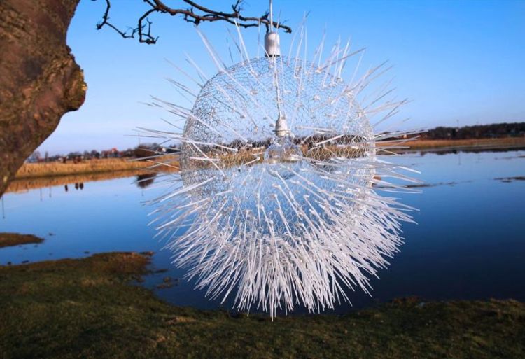 sea urchin lamp photo - 8