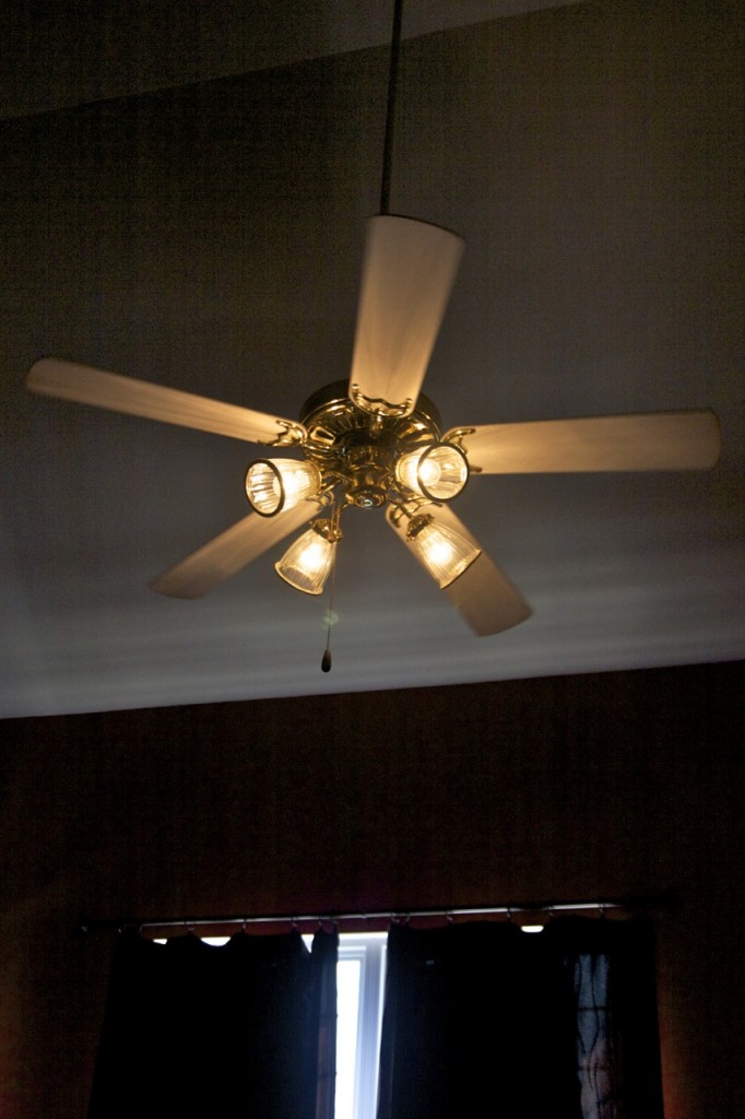 spray paint ceiling fan photo - 2