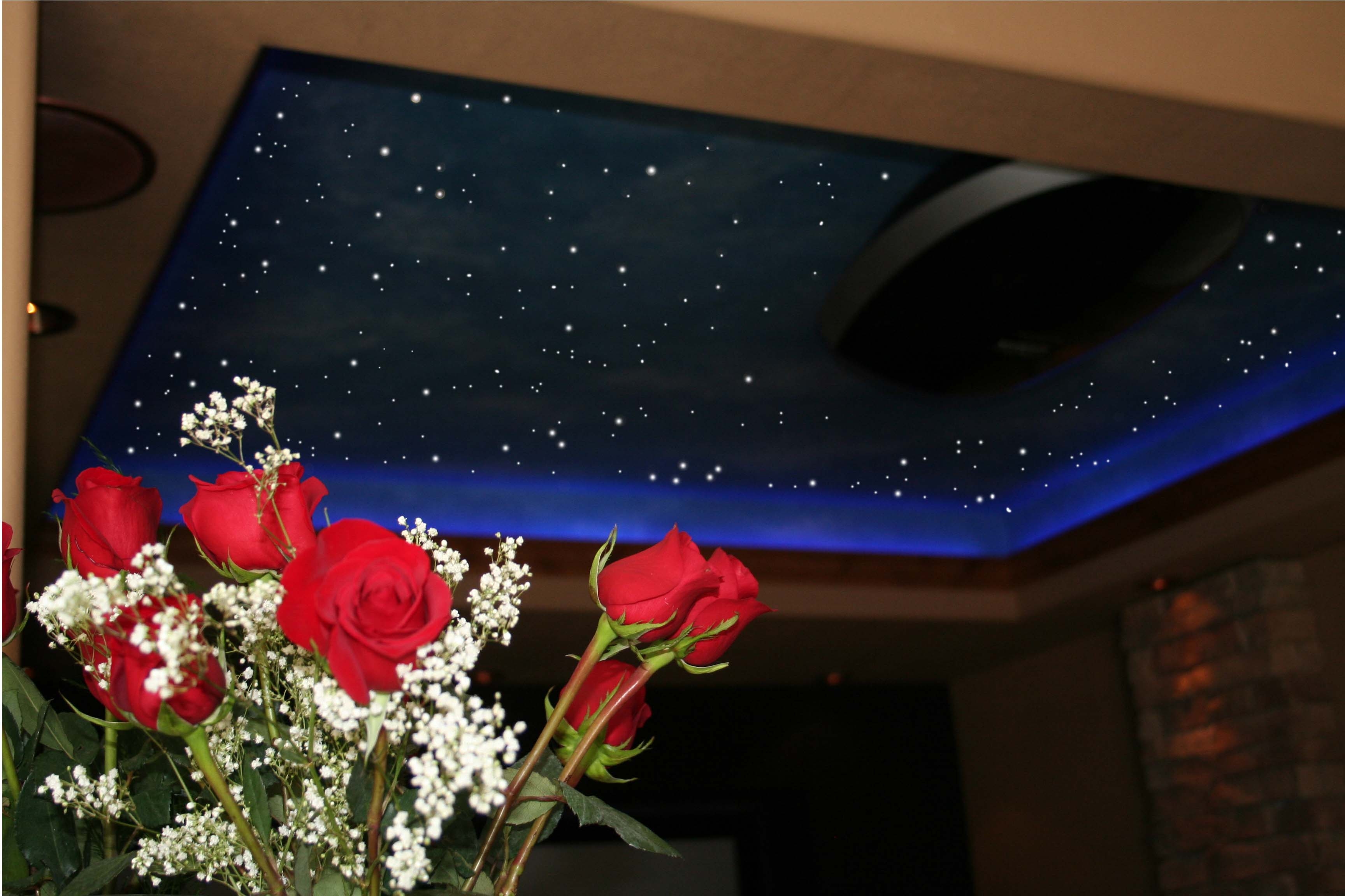 star ceiling lights photo - 6