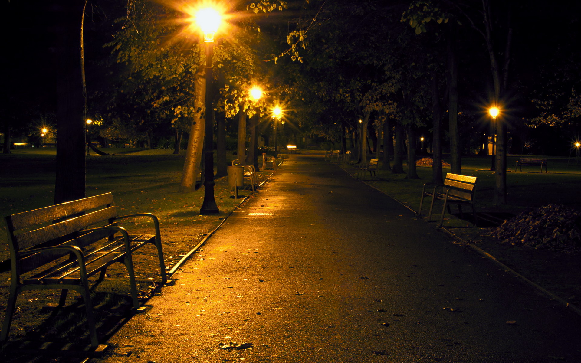 street lamp at night photo - 1