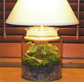 terrarium lamp photo - 1