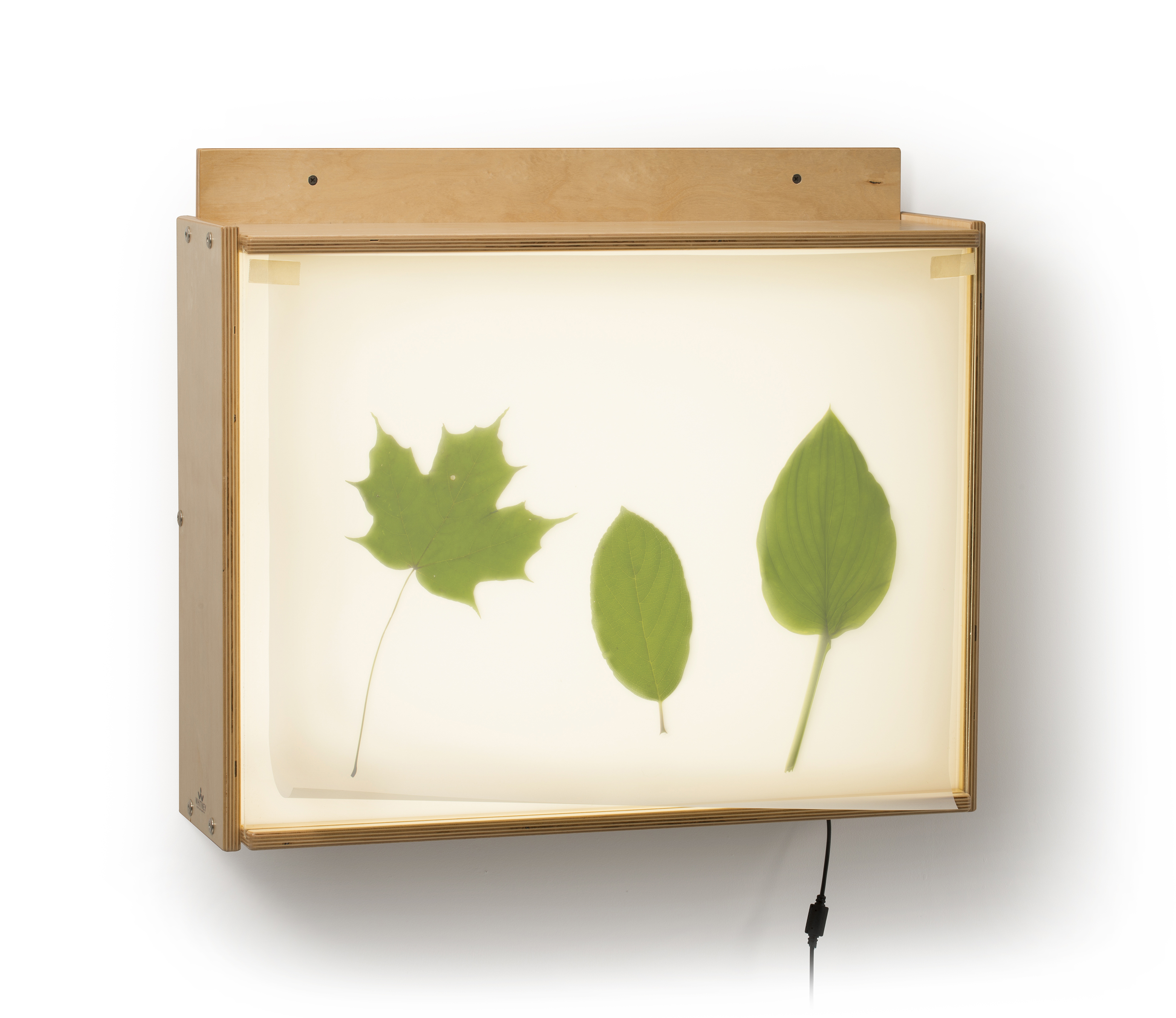 wall mounted light box photo - 1